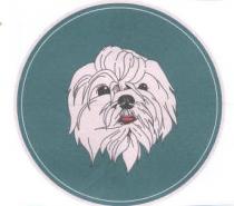 CERCHIO COLOR VERDE SALVIA CON ALL INTERNO FIGURA DI CANE MALTESE BIANCO, CON LINGUETTA ROSSA, STILIZZATO CERCHIO COLOR VERDE SALVIA CON ALL INTERNO FIGURA DI CANE MALTESE BIANCO, CON LINGUETTA ROSSA, STILIZZATO CERCHIO COLOR VERDE SALVIA CON ALL INTERNO FIGURA DI CANE MALTESE BIANCO, CON LINGUETTA ROSSA, STILIZZATO