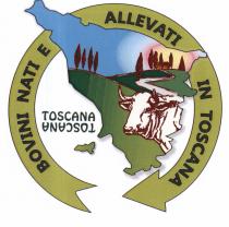 il logo del marchio e costituito dalla silouette della regione toscana con al centro la stilizzazione di un paesaggio rurale, logo del marchio e costituito dalla silouette della regione toscana con al centro la stilizzazione di un paesaggio rurale, l orizzonte di cielo azzurro con stagliate le sagome di nove cipressi e una casa colonica, un alba, una via campestre e una testa di bovino. nel campo bianco sulla sinistra della sagoma della regione, la doppoia scritta toscna sovrapposta in modo speculare, contornata da una freccia circolare con la scritta BOVINI NATI E ALLEVATI IN TOSCANA. cielo: azzurro con sfumature chiare al rosa, verso il sole di colore giallo. colline: verde chiaro sfumato la prima e quella a destra della strada, verde oliva quella a sinistra della strada. cipressi: contorno marrone con interno verde scuro. casa colonica: verde e rosso scuro. testa di bovino: bianco ghiaccio tendente al grigio chiaro con contorni e pieghe marrone. freccia circolare: verde chiaro con contorno nero. scritte: nere. il logo del marchio e costituito dalla silouette della regione toscana con al centro la stilizzazione di un paesaggio rurale