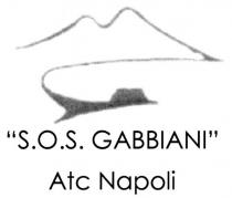 SOS GABBIANI ATC NAPOLI