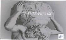 ATLANTE PICO tld + fig.