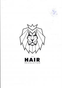 il marchio the hair revolution è composto da un immagine monocromatica e un testo grafico. La figura è costituita, simmetricamente, da marchio the hair revolution è composto da un immagine monocromatica e un testo grafico. La figura è costituita, simmetricamente, da linee sottili che in maniera geometrica e poligonale creano un volto di un leone con una corona poggiata sulla testa. Il testo è costituito dalla scritta HAIR con il font futura extra black e THE e REVOLUTION con il font helvetica neue pro light. il marchio the hair revolution è composto da un immagine monocromatica e un testo grafico. La figura è costituita, simmetricamente, da