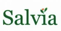 SALVIA SALVIA SALVIA