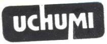 UCHUMI