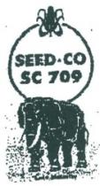 SEED.CO SC 709