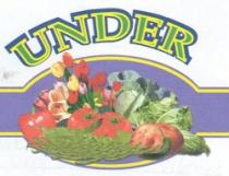 UNDER