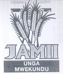 JAMII UNGA WA MWEKUNDU