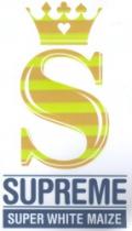 SUPREME SUPER WHITE MAIZE