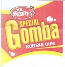 MR BERRY'S SPECIAL GOMBA BUBBLE GUM