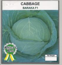 CABBAGE BARAKA F1