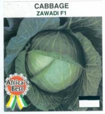 CABBAGE ZAWADI F1