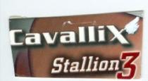 Cavallix Stallion 3