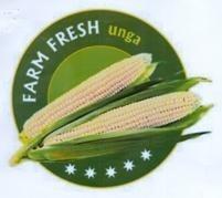 FARM FRESH unga