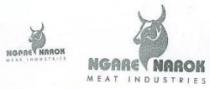 NGARE NAROK MEAT INDUSTRIES