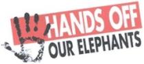 HANDS OF OUR ELEPHANTS
