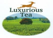 Luxurious Tea