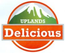 UPLANDS Delicious