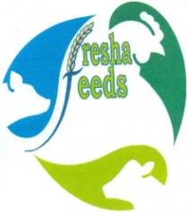 fresha feeds