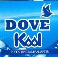 DOVE KOOL