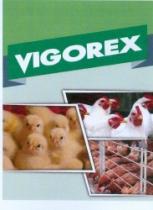 VIGOREX