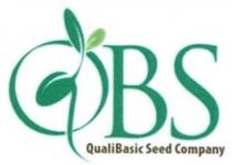 OBS Qualibasic seed company