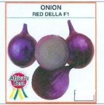 ONION RED DELLA F1