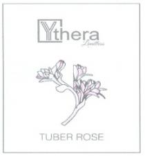 Ythera TUBER ROSE