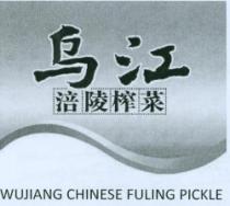 WUJIANG CHINESE FULING PICKLE