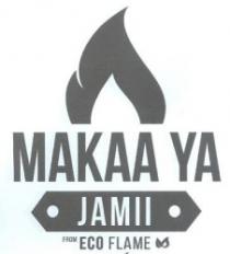 MAKAA YA JAMII ECO FLAME