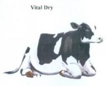 Vital Dry