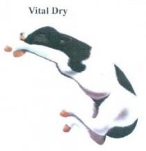 Vital Dry