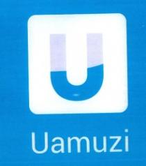 Uamuzi
