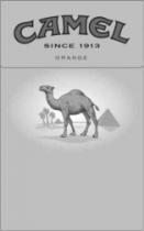 CAMEL SINCE 1913 ORANGE