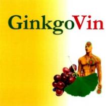 GinkgoVin