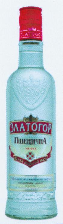 ZLATOGOR SINCE 1896 PSHENICHNA