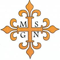 MSGN