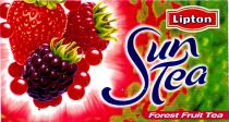 Lipton Sun Tea Forest Fruit Tea