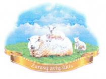 Zarasų avių ūkis