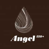 Angel 120+