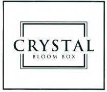 CRYSTAL BLOOM BOX