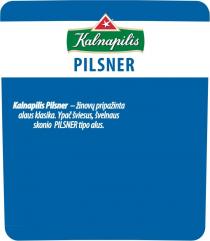 Kalnapilis PILSNER Kalnapilis Pilsner – žinovų pripažinta alaus klasika. Ypač šviesus, švelnaus skonio PILSNER tipo alus.