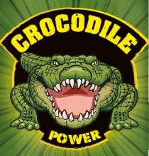 CROCODILE POWER