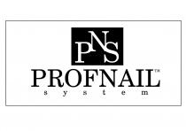 PNS PROFNAIL system