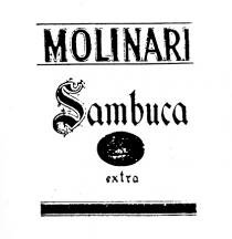 MOLINARI Sambuca extra