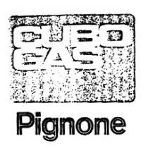 CUBO GAS Pignone