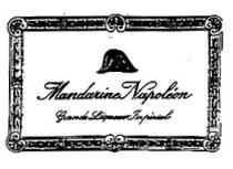 Mandarina Napoleon Grande Liqueur Imperiale