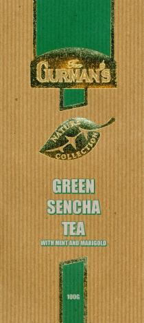 Tea GURMAN'S NATURE COLLECTION GREEN SENCHA TEA