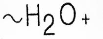 H2O+