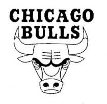 CHICAGO BULLS
