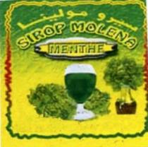 SIROP MOLENA