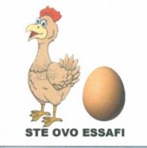 STE OVO ESSAFI